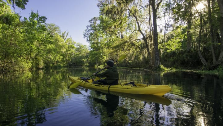 Person paddling on a waterway surrounded by swamp-like vegetation.